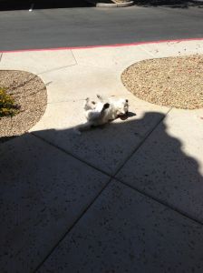 I am going to smell great.