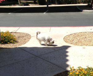 What is this? Mmm. Interesting. 