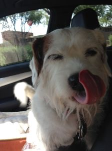 At the "Magic Window"