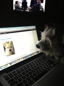 Reading about My Green Eyes