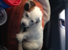 The Moon Isn't Far Enough