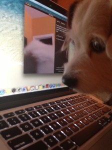 This FaceTime Is Amazing