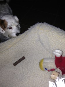 Hmm ... Not the Best Hiding Place?