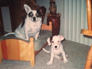 Charlee's BFF Then Was Bandit (2004)