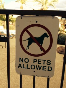 No Pets Allowed?